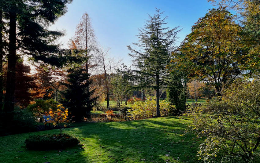 visit our nursery and woodland gardens